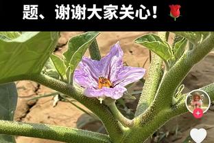 打入冷宫！杰伦-格林仅打19分钟7中2&三分3中0得5分 末节遭DNP